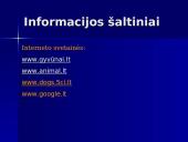 Šunų veislės 15 puslapis