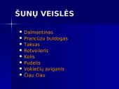 Šunų veislės 3 puslapis