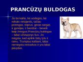 Šunų veislės 5 puslapis