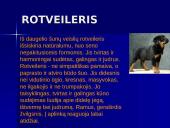 Šunų veislės 7 puslapis