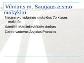 Švaraus ir sveiko transporto vizija 17 puslapis