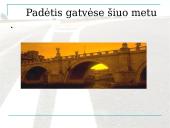 Švaraus ir sveiko transporto vizija 3 puslapis