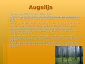 Švedijos geografija bei gamta 8 puslapis