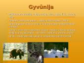 Švedijos geografija bei gamta 9 puslapis