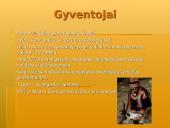 Švedijos geografija bei gamta 10 puslapis