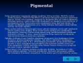 Švino cheminės savybės, poveikis ir pritaikymo sritys  5 puslapis