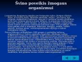 Švino cheminės savybės, poveikis ir pritaikymo sritys  6 puslapis