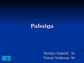Švino cheminės savybės, poveikis ir pritaikymo sritys  10 puslapis