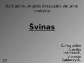 Švinas. Skaidrės