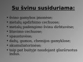Švinas. Skaidrės 12 puslapis