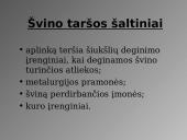 Švinas. Skaidrės 13 puslapis