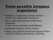 Švinas. Skaidrės 14 puslapis