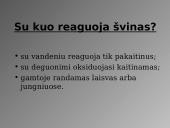 Švinas. Skaidrės 5 puslapis