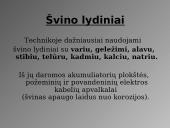 Švinas. Skaidrės 10 puslapis
