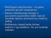 Švinas, kadmis, gyvsidabris – toksiški elementai 2 puslapis