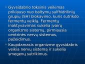 Švinas, kadmis, gyvsidabris – toksiški elementai 11 puslapis