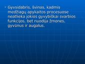 Švinas, kadmis, gyvsidabris – toksiški elementai 3 puslapis