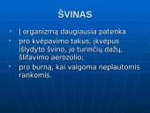 Švinas, kadmis, gyvsidabris – toksiški elementai 4 puslapis