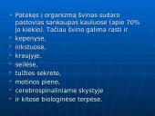 Švinas, kadmis, gyvsidabris – toksiški elementai 5 puslapis