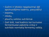 Švinas, kadmis, gyvsidabris – toksiški elementai 8 puslapis