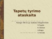 Tapetų tyrimo ataskaita