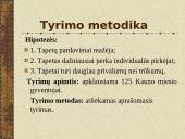 Tapetų tyrimo ataskaita 11 puslapis