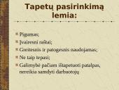 Tapetų tyrimo ataskaita 20 puslapis