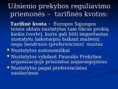 Tarptautinė politika ir teisė 15 puslapis