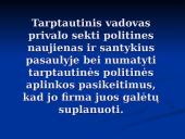 Tarptautinė politika ir teisė 17 puslapis