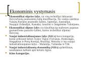 Tarptautinės prekybos ir investicijų teorijos 11 puslapis