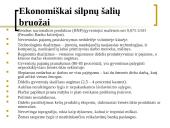 Tarptautinės prekybos ir investicijų teorijos 13 puslapis