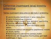 Tarptautiniai krovinių pervežimai 11 puslapis