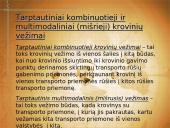 Tarptautiniai krovinių pervežimai 13 puslapis