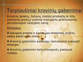 Tarptautiniai krovinių pervežimai 3 puslapis