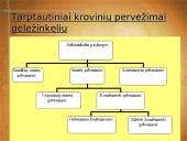 Tarptautiniai krovinių pervežimai 8 puslapis