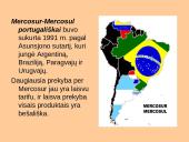 Tarptautinių institucijų dinamika 11 puslapis