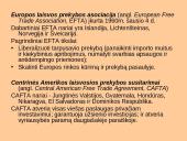 Tarptautinių institucijų dinamika 8 puslapis