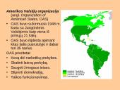 Tarptautinių institucijų dinamika 9 puslapis