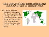 Tarptautinių institucijų dinamika 10 puslapis