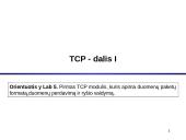 TCP protokolas