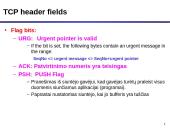 TCP protokolas 12 puslapis