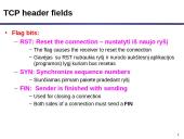 TCP protokolas 13 puslapis