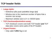 TCP protokolas 14 puslapis
