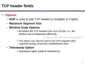TCP protokolas 16 puslapis