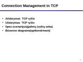 TCP protokolas 17 puslapis