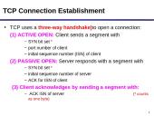 TCP protokolas 18 puslapis