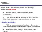 TCP protokolas 4 puslapis