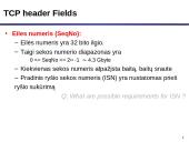 TCP protokolas 8 puslapis