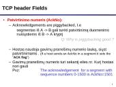 TCP protokolas 9 puslapis