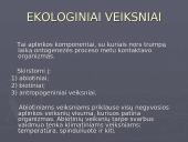 Temperatūra ir spinduliuotė kaip ekologiniai veiksniai 2 puslapis